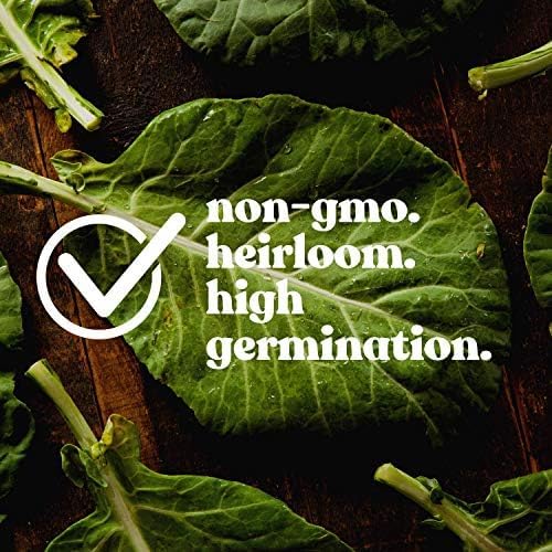 Clover Trio Seed Blend – Premium 1 Lb ~179,200 Seeds – Red, White & Crimson Clover – Cover Crop & Soil Enrichment Mix