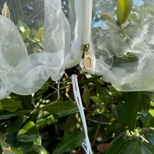 Fruit Tree Protection Bags 8.5x8.5 FT | Pack of 1 Garden & Insect Netting