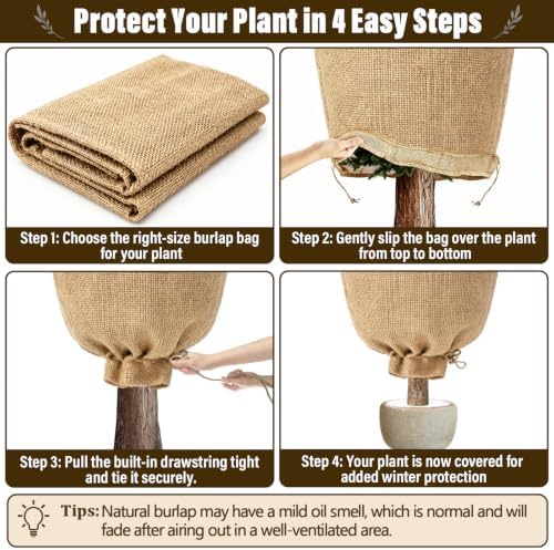 2 Packs 24 × 40 Inch Large Winter Plant Cover Bags with Drawstring