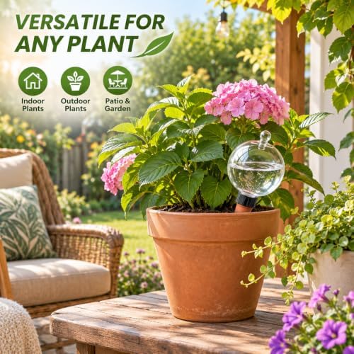 6 Pack 26 oz Extra Large Plant Self Watering Globes to 3 Weeks Watering