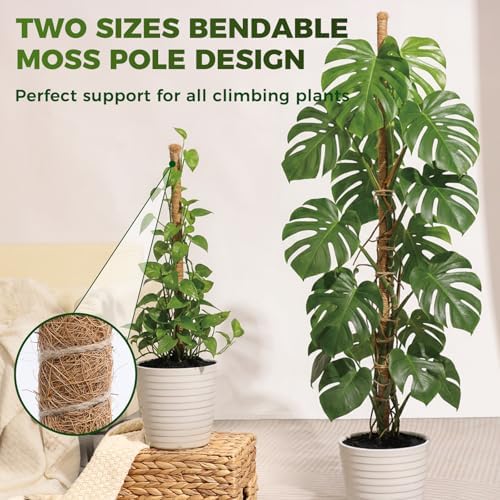 4 Pack Moss Pole Monstera Plant Support, 2 Pack 28" & 2 Pack 48" Bendable Plant Stakes Made of Real Coco Coir Support for Climbing Indoor Plants, Tall Moss Stick Trellis for Pothos & Philodendron