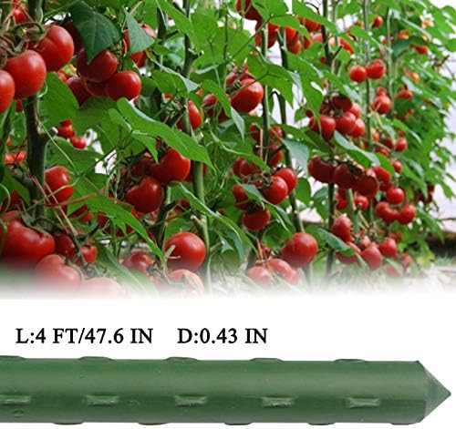 Sunnyglade 50 PCS 48" Plant Stakes Garden Tomato Sticks for Outdoor Plants