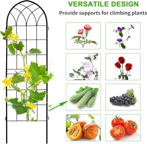 71 x 80in Rustic Iron Arch Decoration Garden Trellis with Black Metal Coating – Perfect for Supporting Climbing Plants Outdoor, Roses, Vines, Flowers, and Vegetables.