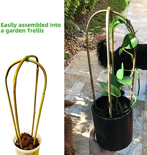 Avalution 16" Natural Bamboo Plants Trellis U-Hoop,Bamboo Gaeden Trellis U-Shape for Climbing Plant Support-20PCS