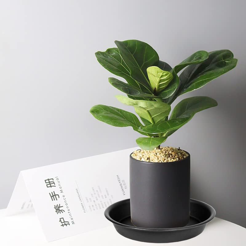 6 Pack Plastic Plant Saucer Water Drip Tray, 4 5 6 7 8 9 10 11 12 13 15 17 19 inch, Heavy Sturdy Plant Drainage Tray for Indoors Outdoor, Flower Saucers for Pots Base (4", Black)