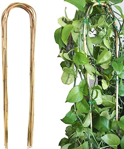 Avalution 10 Pcs Natural U-Hoops Bamboo Garden Trellis, 4 Ft Bamboo Trellis U-Shape Plant Support for Climbing Plants Indoor and Outdoor Use