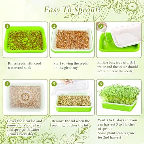 8 Pack Seed Sprouter Trays with Lids, Microgreens Growing Trays Kit
