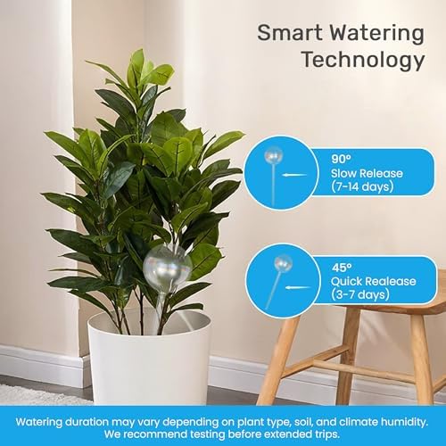 Watering Globe 10 Pack – Anti-Clog Plastic Inserts for Plant Globes