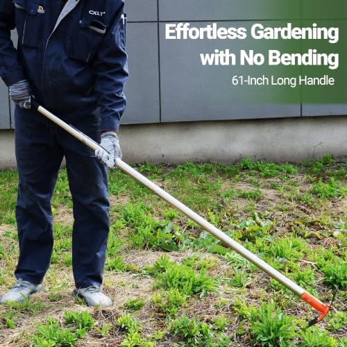 2-in-1 Garden Hoe and Weed Puller Rake 61 Inch Spring Steel Head Adjustable Long Handle Weeding Tool Heavy Duty Sand Texture Finish, Weed Remover for Garden, Yard, Lawn, Driveway