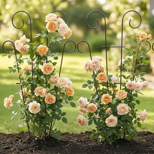 4 Pack 32 Inch Tall Metal Plant Trellis for Potted Plants