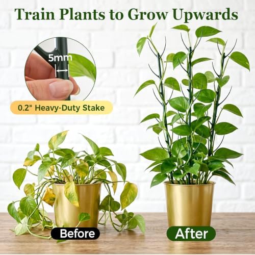 10 Packs Stackable Monstera Plant Support Stakes for Small Potted Plants