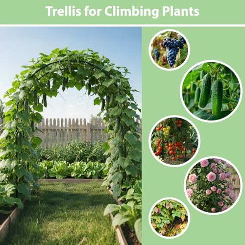 RUBFAC 7.8ft Garden Arch, Metal Trellis for Climbing Plants Outdoor