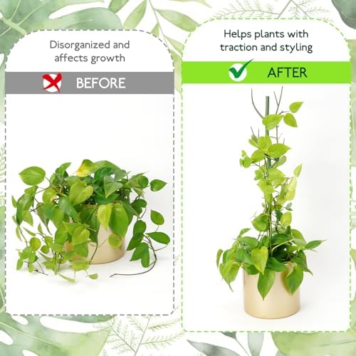 12 Pack Monstera Plant Support Stakes, Detachable Plant Stakes