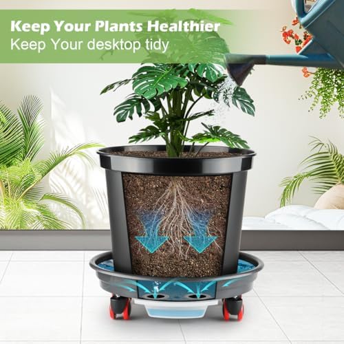 RooTrimmer 13 Inch Plant Stand Rolling Tray Plant Caddy with Wheels and Removable Drainage Holes and Drip Tray Plant Dolly for Heavy Duty Large Plants Rollers (2 Pack)