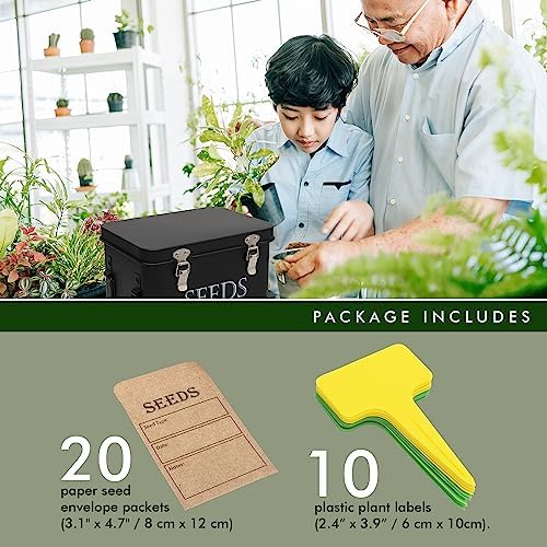 Garden Seed Storage Box with Dividers Seeds Packet Organizer Case for Gardening 3 Inner Slot Bird Plant or Vegetable Seed Container Saver Tin – Black Galvanized Metal with Envelopes & Labels