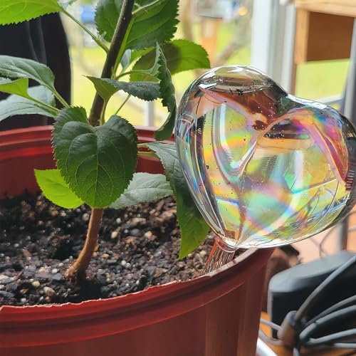 Heart Plant Water Globe, 4 Pcs Set Iridescent Glass Self Watering Bulbs, Heart Shaped Waterer Dripper for Indoor Plants, Outdoor Flowers, Planter Insert Garden Device for Pots