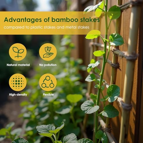 Bamboo Stakes 3ft, 50 Pack Garden Stakes, Bamboo Sticks for Plant