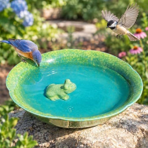 10" W Ceramic Bird Bath Bowl,Bird Bath for Outdoors with Frog Decor.