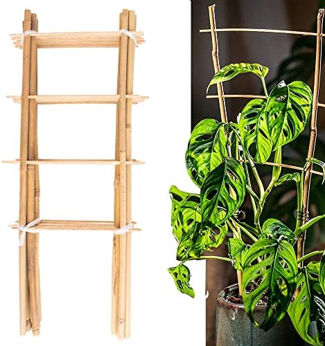 Avalution 10 Pack Natural Bamboo Trellis for Climbing Plants 16" Outdoor Garden Ladder Trellis, Fan -Shaped Plant Support Trellis for Potted Plant