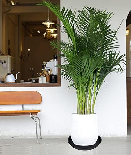 2 Pack of 16 17 inch Plant Saucer (15 inch Base), 2.3" Depth, Plant Trays for Pots, Plastic Plant Saucers for Indoors, Bird Bath Bowls, Flower Pot Drip Trays for Planter (17", Black)