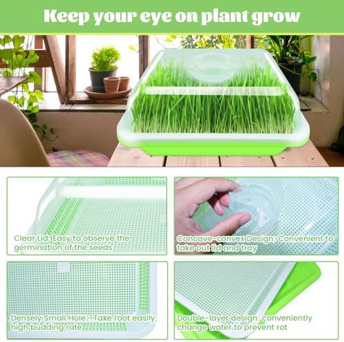 5 Pack Seed Sprouter Trays with Lids, Microgreens Growing Trays Kit