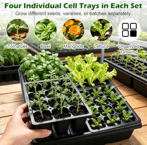 RooTrimmer 4 Pack Seed Trays with 5" Tall Domes, 4 x 12-Cell Insert per Set