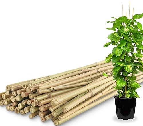 50Pcs / 4ft Bamboo Plant Stakes for Indoor Outdoor Plants, Garden Plant Support Sticks, Poles for Tomato Vegetables Beans Trees Potted Climbing Plants(0.32''-0.4'')