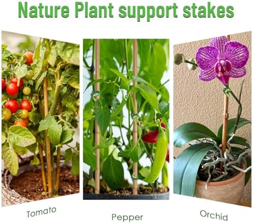 Plant Stakes 35Pcs 18 Inch,POLIUMB Premium Natural Bamboo Garden Stakes