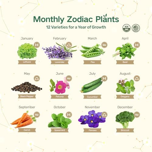 Lush&Dew Zodiac Garden Seed Bank Air Signs, Gardening Gifts for Women Men