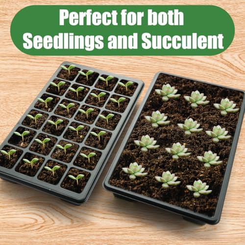 RooTrimmer 5-Pack Seed Starter Trays with Dome & Large 24-Cell 2" Plug Tray