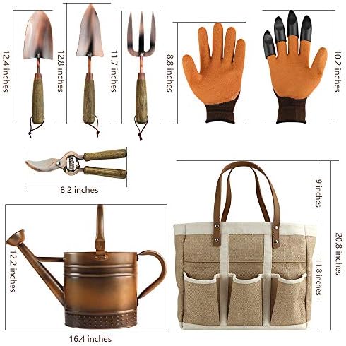 1 Gallon Galvanized Steel Watering Can with 3 Pcs of Garden Tools, 1 Pc of Pruning Shear, 1 Pair of Gardening Gloves，1 Pc of Garden Tools Organizer Tote