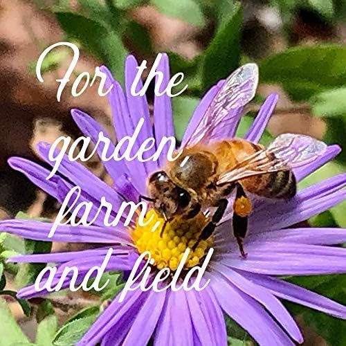All Annual Wildflower Mix Seed for Planting - 1 Lb ~16,000+ Seeds - 21 Varieties Including California Poppy, Indian Blanket, Scarlet Flax, & More - Attracts Pollinators - Bulk Wildflower Seeds