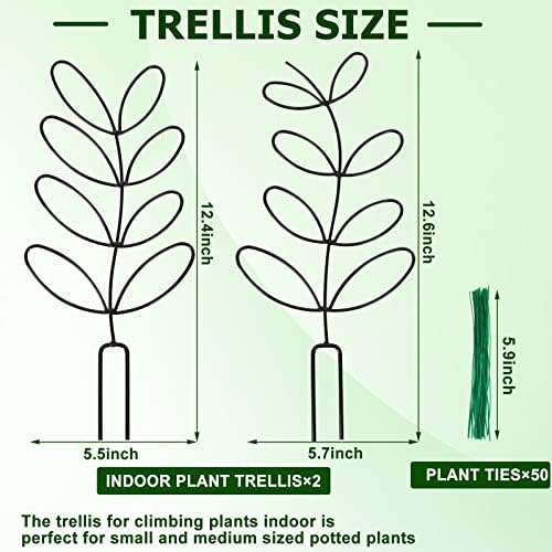 2 Packs Indoor Plant Trellis Garden Trellis for Climbing Plants