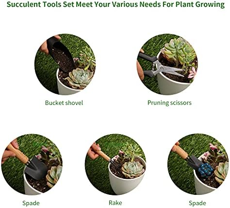 5 Pcs Succulent Tools, Mini Garden Tools, Small Indoor Plant Repotting Set