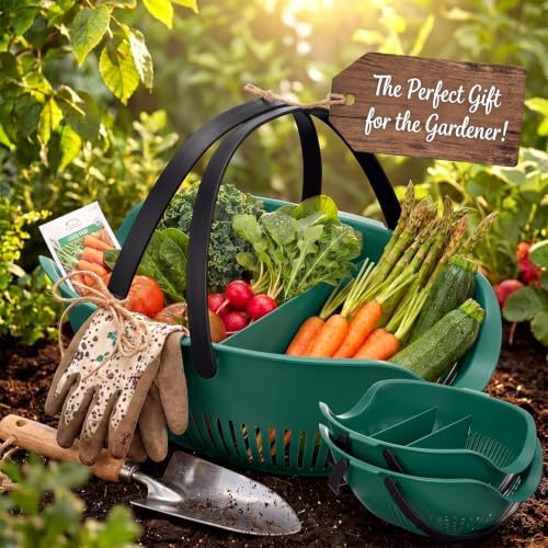Nuogo 3 Pcs Garden Harvest Basket with Dividers Tool Caddy, Dark Green