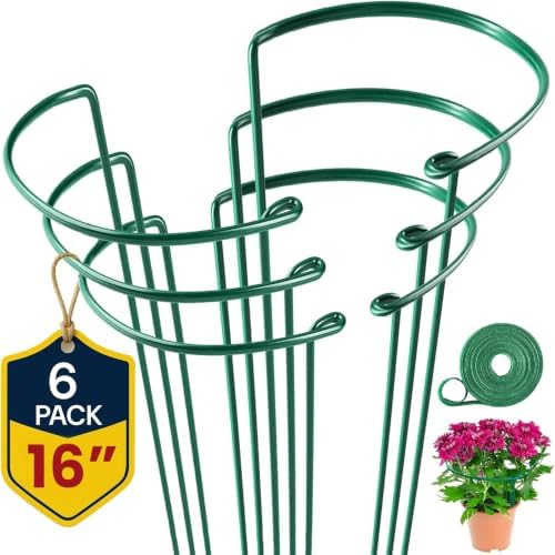Tall Plant Support Stakes for Indoor and Outdoor - Peony Cages and Supports - Plant Cage Ring for Potted Flower - Peony, Tomato, Hydrangea, Rose Bush 10" W x 16" H (6 Pack)