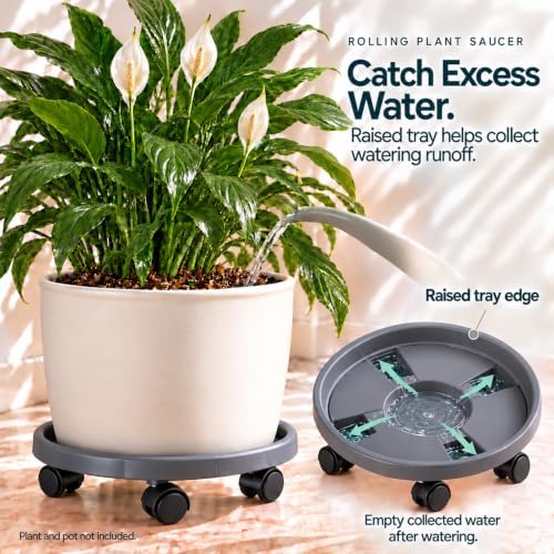 Rolling Plant Stand Outdoor 3 Pack 10 Inch Plant Caddy with Wheels, Grey