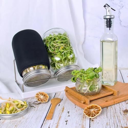 Organic Seed Sprouting Jar Kit – 2 × 32 oz Wide-Mouth Mason Jars