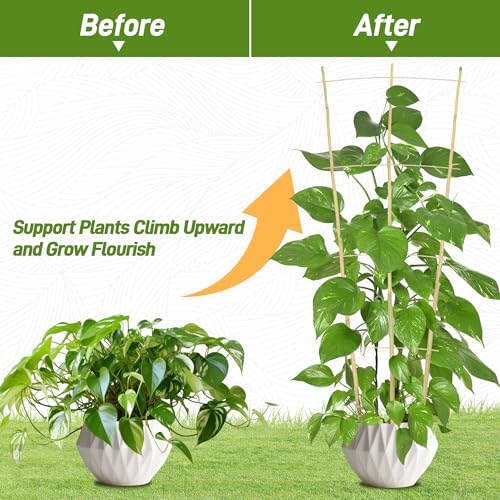 Avalution 10 Pack Bamboo Trellis for Climbing Plants, 4 FT Garden Ladder Trellis for Potted Plants Indoor, Fan-Shaped Small Plant Support Trellis for Houseplants Ivy Hoya Vine Monstera
