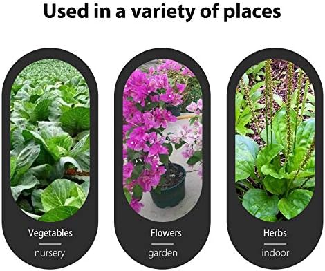 KINGLAKE Green Plant Labels,100 Pcs 6 x10cm Plastic Plant T-Type Tags Nursery Garden Labels