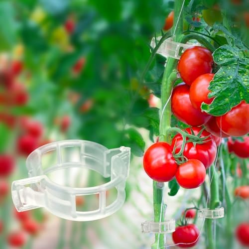 120 Pack Tomato Clips for Climbing Plants Garden Support Plant Trellis