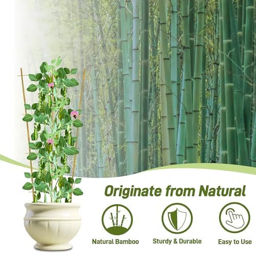 Avalution 10 Pack Bamboo Trellis for Climbing Plants, 3 FT Garden Ladder Trellis for Potted Plants Indoor, Fan-Shaped Small Plant Support Trellis for Houseplants Ivy Hoya Vine Monstera