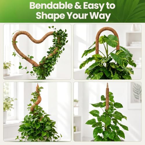 2 Pack 63'' Moss Pole Monstera Plant Support for Climbing Indoor Plants
