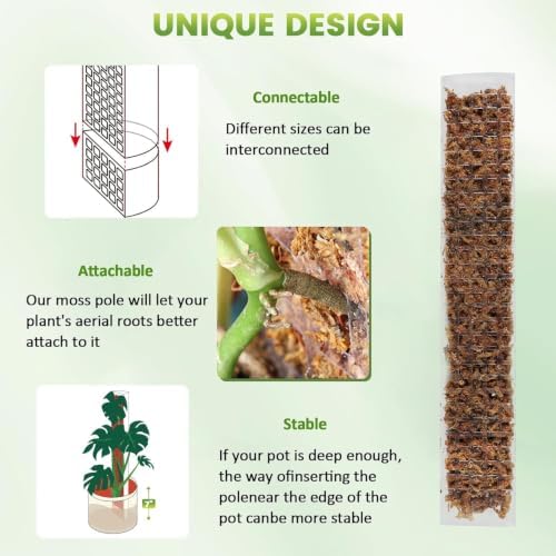 EOX Plastic Moss Pole for Monstera and Climbing Plants, 24/36-Inch, 4-Pack