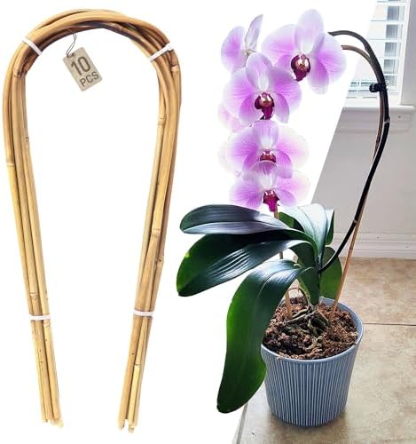 Avalution 16" Natural Bamboo Plants Trellis U-Hoop,Bamboo Gaeden Trellis U-Shape for Climbing Plant Support-10PCS