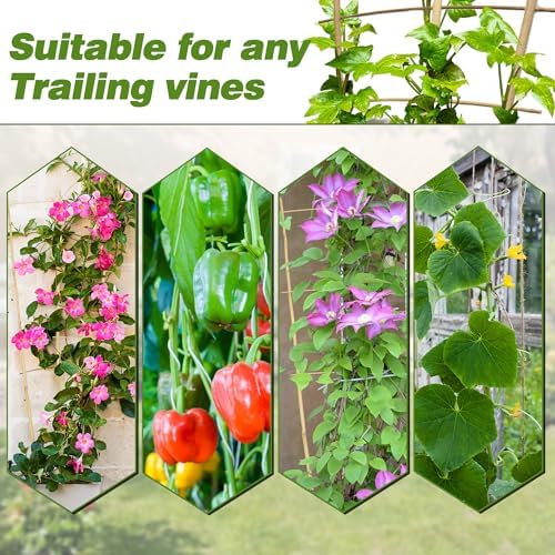 Avalution 10 Pack Bamboo Trellis for Climbing Plants 16" Natural Garden Ladder Trellis, Fan -Shaped Plant Support Trellis for Potted Plant Decor