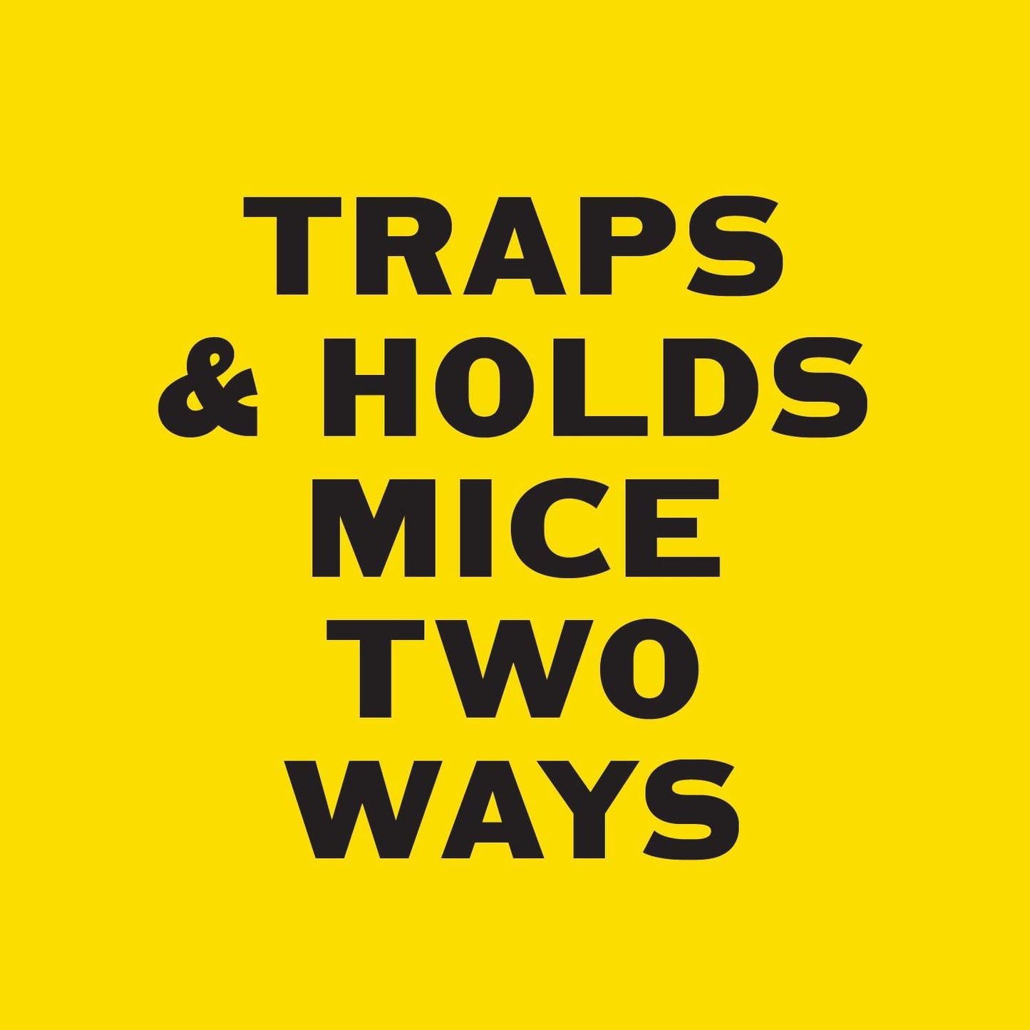 PIC Mouse Glue Boards, Baited Glue Trap with Sticky Adhesive, Sticky Mouse Traps for Indoors, Trampas para Ratones Pest Control Trap, Easy to Set, Non-Toxic, Disposable, 6 Pack (24 Traps Total)