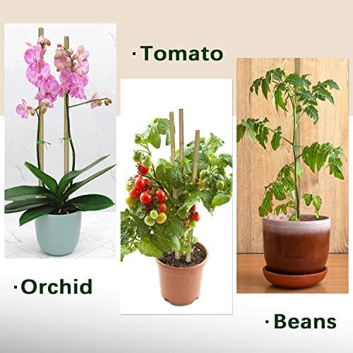 Plant Stakes,18IN Natural Garden Bamboo Sticks, 20Pcs Plant Support Stakes