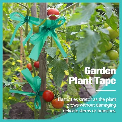 1200Ft Plant Tape,1" Stretch Garden Tie Tape Roll, Plant Ribbon(4 Rolls)