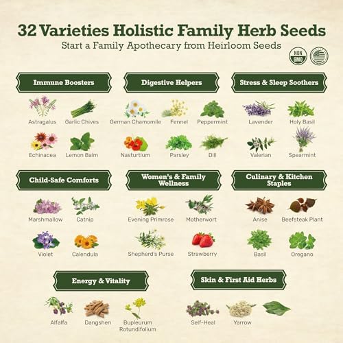 Lush&Dew Holistic Family Apothecary Seed Chest, 30000+ Medicinal Herb Seeds